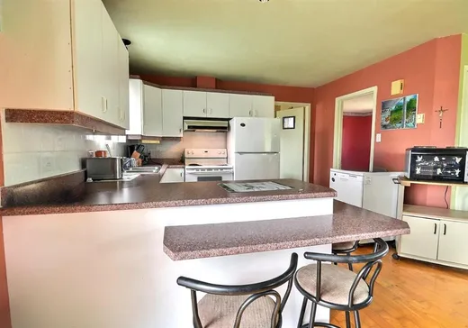 Maison à vendre - 171 Rue Proulx, Ste-Perpétue L'Islet, J0C 1R0