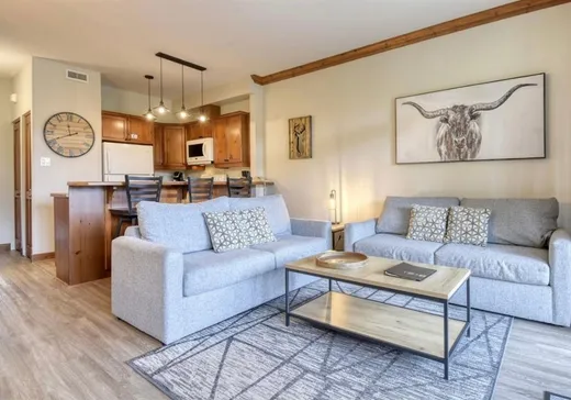 Condo à vendre - 185 Rue du Mont-Plaisant, App. 7, Mont-Tremblant, J8E1L2