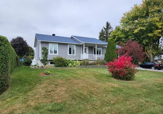 Maison à vendre - 878 Rg St-Amable, Saint-Barnabé-Sud, J0H 1G0