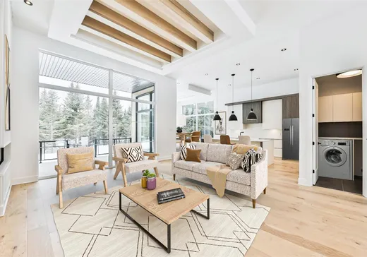 Maison à vendre - 1604 Ch. des Achillées, Saint-Sauveur, J0R 1K0