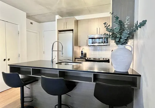 Condo for sale - 950 Rue Notre-Dame O., App. 457, Montreal (Downtown), H3C 0K3