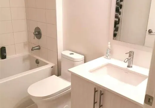 Condo à vendre - 1801 Rue Viola-Desmond, App. 311, Montréal (LaSalle), H8N 0G8