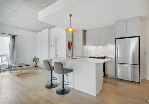 Condo for sale - 9250 Av. Dubuisson, Montreal (Mercier/Hochelaga-Maisonneuve), H1L 0B7