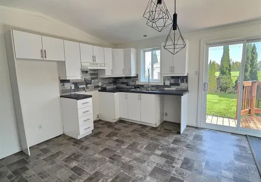 Maison à vendre - 14 Rue Cormier, Victoriaville, G6P 7S1