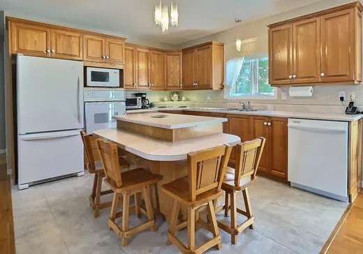 Maison à vendre - 466 Rue Labrecque, Drummondville, J2A 2G2