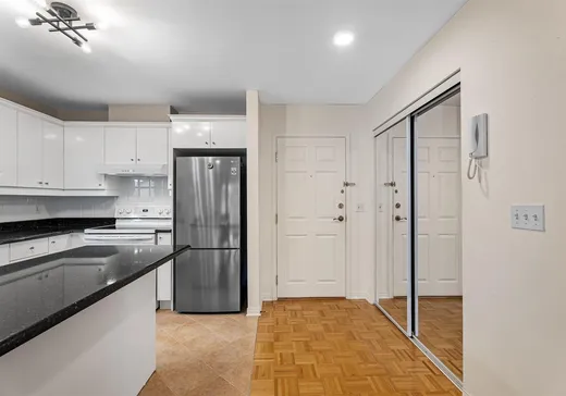 Condo à vendre - 7014 Rue Marie-Rollet, App. 3B, Montréal (LaSalle), H8N 3E8