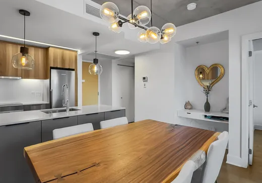 Condo for sale - 101 Rue Peel, Montreal (Downtown), H3C 0Y1