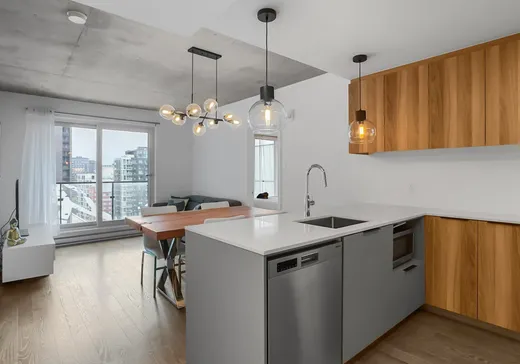 Condo for sale - 101 Rue Peel, Montreal (Downtown), H3C 0Y1