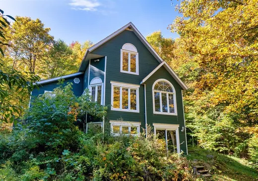 House for sale - 45 Ch. des Muses, Mont-Tremblant, J8E 2H4
