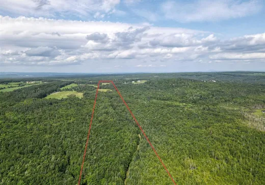 Fermette à vendre - 725Z Rue Principale, St-Evariste-De-Forsyth, G0M 1G0
