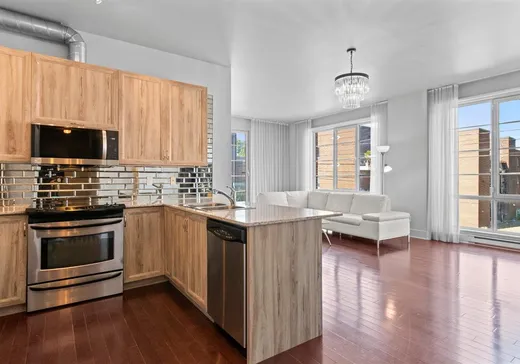 Condo à vendre - 4200 Rue St-Ambroise, App. 218, St-Henri (Île de Montréal), H4C3R7