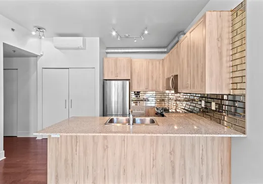 Condo à vendre - 4200 Rue St-Ambroise, App. 218, St-Henri (Île de Montréal), H4C 3R7