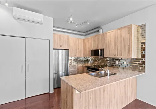 Condo à vendre - 4200 Rue St-Ambroise, App. 218, St-Henri (Île de Montréal), H4C 3R7