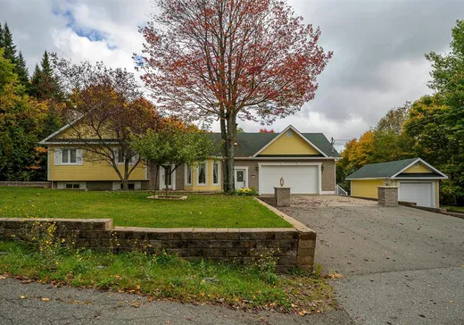 Paliers multiples à vendre - 81 Rue Dominyck, Sainte-Agathe-des-Monts, J8C2Z7