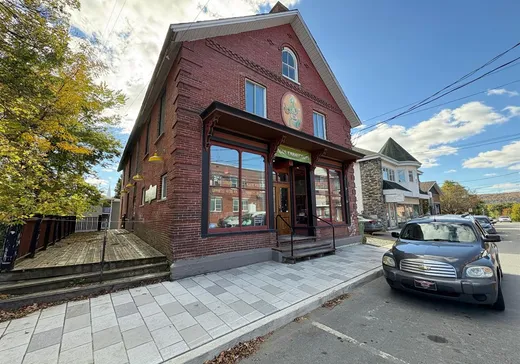 House for sale - 6 Rue Daniel-Johnson, Danville, J0A 1A0