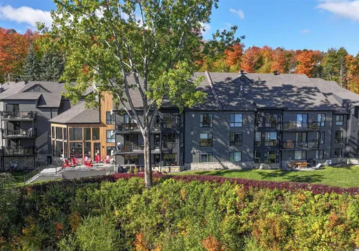 Condo à vendre - 323-305 Ch. du Panorama, Mansonville, J0E 1X0