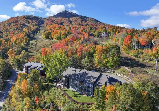 Condo à vendre - 323-305 Ch. du Panorama, Mansonville, J0E 1X0