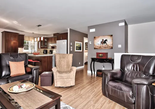 Maison à vendre - 182 Rue du Nénuphar, Cowansville, J2K 0C8