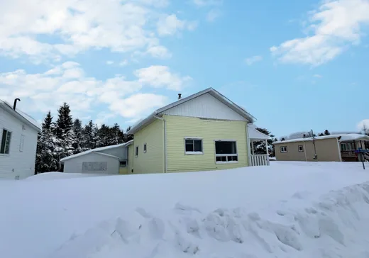 Maison à vendre - 62 Rue J.-O.-Gauthier, Taschereau, J0Z 3N0