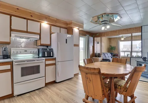 Maison à vendre - 62 Rue J.-O.-Gauthier, Taschereau, J0Z 3N0