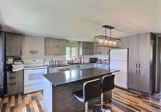 Maison à vendre - 347 Rue St-Jean-Baptiste N., Plessisville, G6L 4Z4