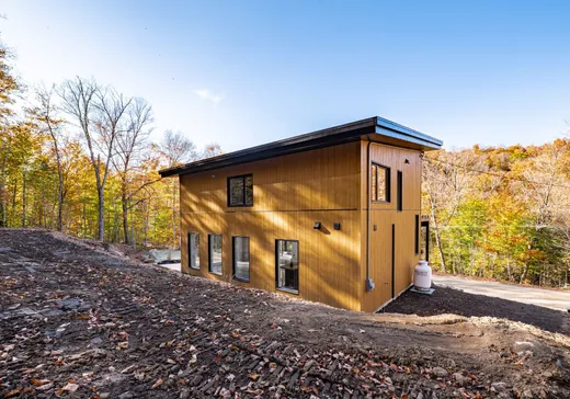 Maison à vendre - 280 Ch. des Gais-Lurons, St-Adolphe d'Howard, J0T 2B0