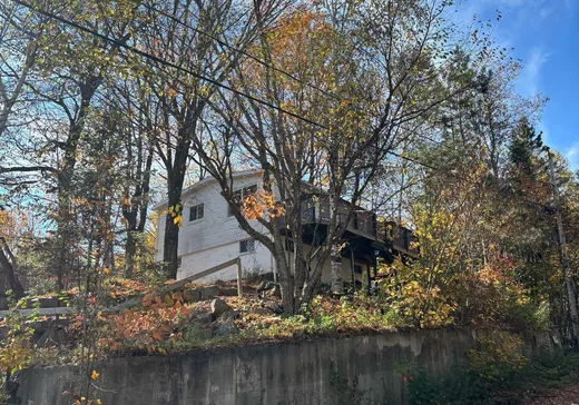 Maison à étages à vendre - 28 Ch. du Lac-Grace, Gore, J0V1K0