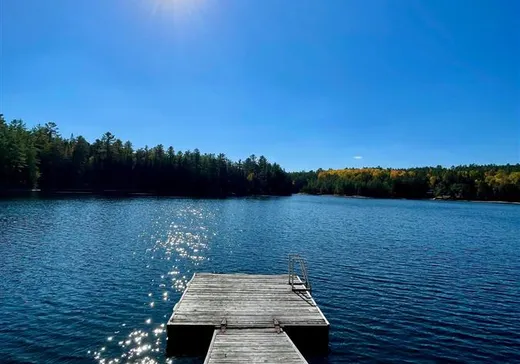 Maison à vendre - 92 Ch. du Lac-Michel, Sainte-Thérèse-de-la-Gatineau, J0X 2X0