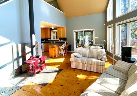 Maison à vendre - 92 Ch. du Lac-Michel, Sainte-Thérèse-de-la-Gatineau, J0X 2X0
