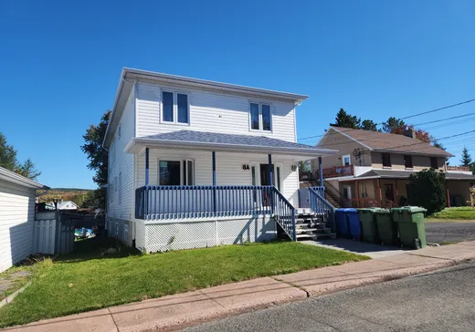 Maison à étages à vendre - 8A-8B Rue Gaudreau, Lac-Au-Saumon, G0J1M0