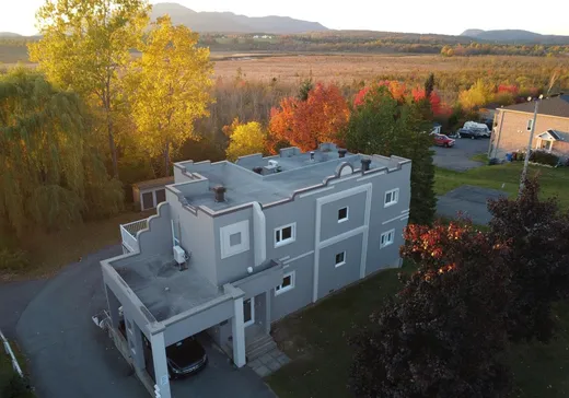 Condo à vendre - 867 Rue du Moulin, Magog, J1X5X5