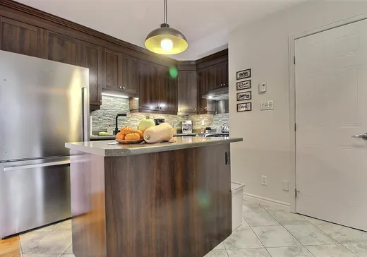 Condo à vendre - 867 Rue du Moulin, Magog, J1X 5X5