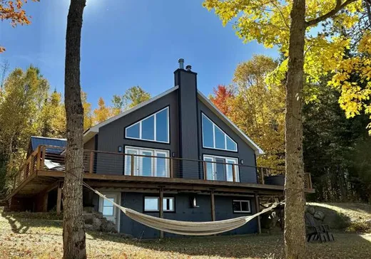 Maison à vendre - 1647 Ch. Baskatong, Grand-Remous, J0W 1E0