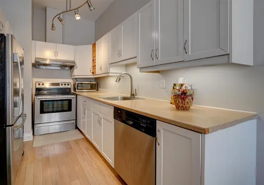 Condo for sale - 65 Boul. René-Lévesque E., App. 204, Montreal (Downtown), H2X 1N2