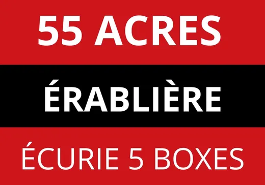 Maison à vendre - 1475 9e rang de Simpson (1475Z), St-Cyrille-De-Wendover, J0C 1A0