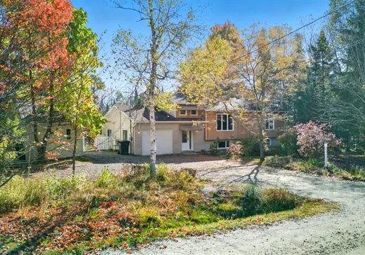 Maison à vendre - 447 Rue Clément, Sherbrooke, J1R 0A9