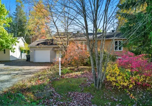 Maison à vendre - 447 Rue Clément, Sherbrooke, J1R 0A9
