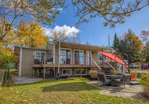 Maison à vendre - 55 Rue Langlois, Saints-Martyrs-Canadiens, G0P 1A0