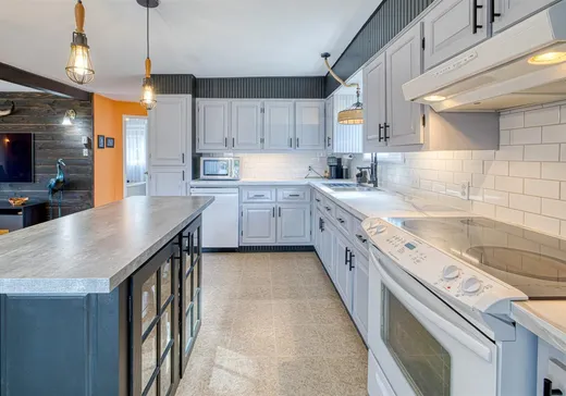 Maison à vendre - 55 Rue Langlois, Saints-Martyrs-Canadiens, G0P 1A0