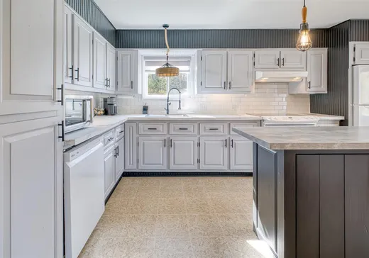 Maison à vendre - 55 Rue Langlois, Saints-Martyrs-Canadiens, G0P 1A0