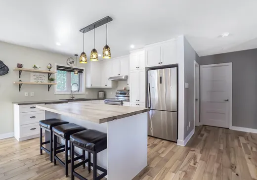 Maison à étages à vendre - 103 Rue Edmond, Chertsey, J0K3K0