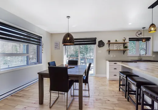 Maison à vendre - 103 Rue Edmond, Chertsey, J0K 3K0