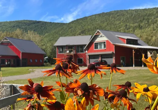 Maison à étages à vendre - 166 Route de la Rivière, L'Anse-Pleureuse, G0E1K0