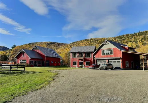 Maison à vendre - 166 Route de la Rivière, L'Anse-Pleureuse, G0E 1K0