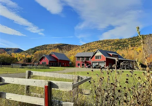 Maison à vendre - 166 Route de la Rivière, L'Anse-Pleureuse, G0E 1K0