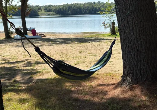 Maison à vendre - 41 Ch. Squirrel Point Lane, Chapeau, J0X 1M0