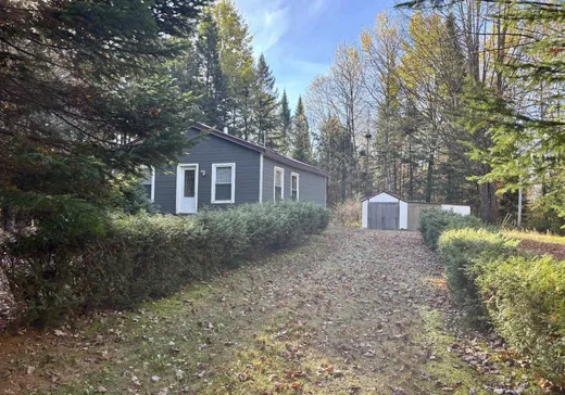 Maison à étages à vendre - 800 Rg Haut-St-Émile, St-Adelphe-De-Champlain, G0X2G0