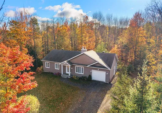 Bungalow à vendre - 686 Rue John O Donigan, Magog, J1X0A8
