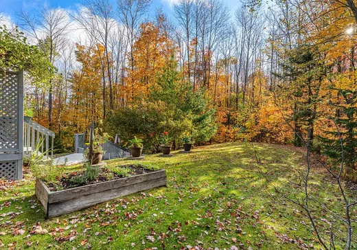 Maison à vendre - 686 Rue John O Donigan, Magog, J1X 0A8