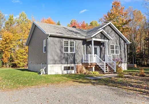 House for sale - 21 Rue des Pionniers, Saint-Louis-de-Blandford, G0Z 1B0